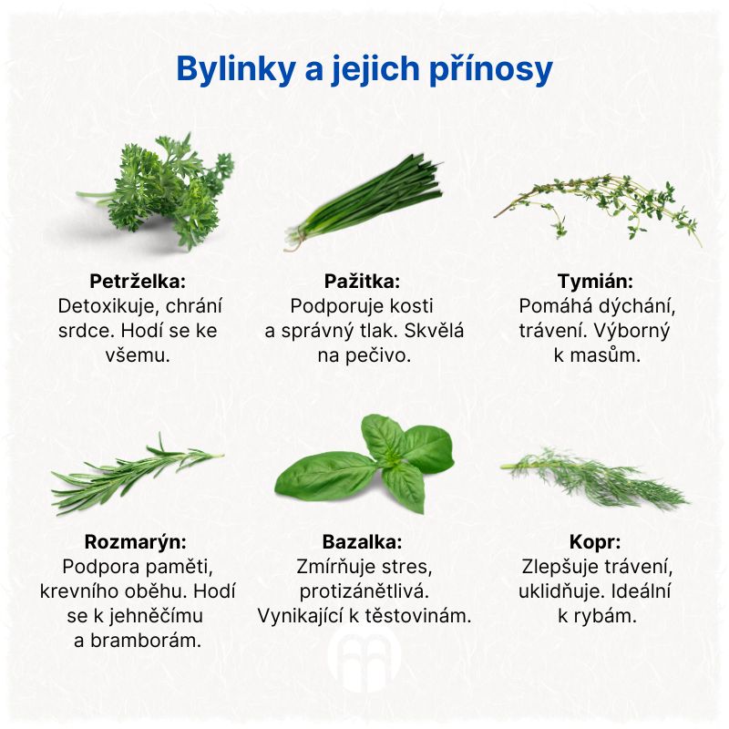 Bylinky a jejich přínosy